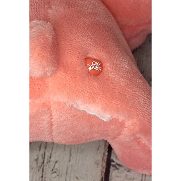 9" Hello Kitty x Care Bears Cinnamoroll Stuffed Plush Toy Stuffed Animal Bunny - Picture 3 of 3